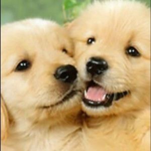 Meet your posher Sally.